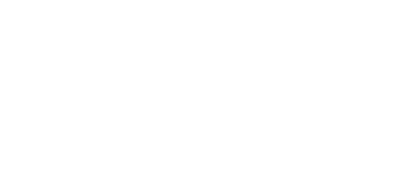 sanfelice1