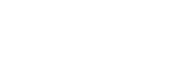 sinergas1