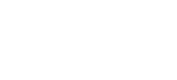 fimauto