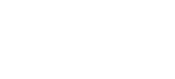 Gruppo-Finservice