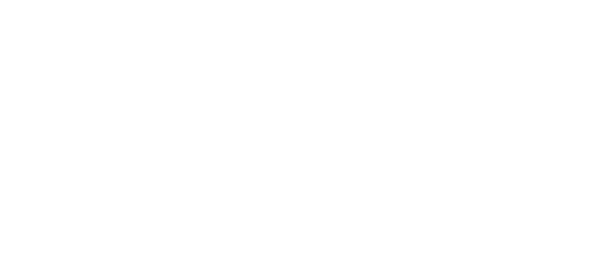 novellini
