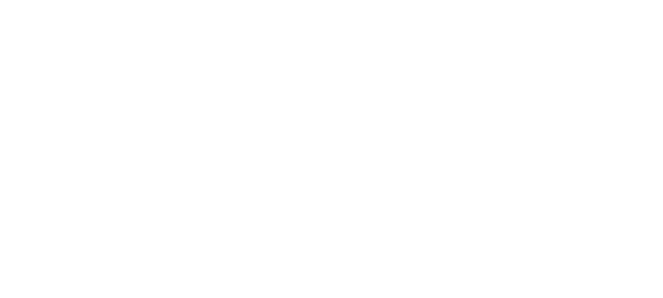 Mantova2